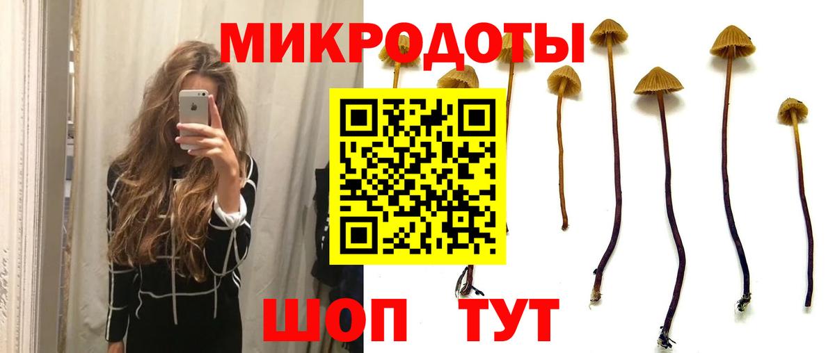 Псилоцибиновые грибы Psilocybe  цена наркотик  Вход с VPN  Ачхой-Мартан  Галлюциногенные грибы GOLDEN TEACHER 